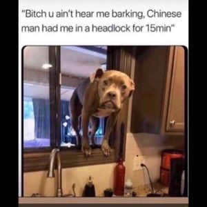 Meet your Posher, Chandler